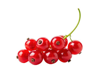 Close up of ripe red currants on a green stem against a berries fruit
