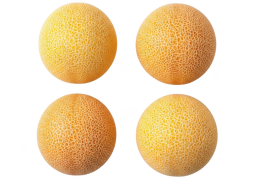 Four Cantaloupe Melons with Textured Rinds on fruit food