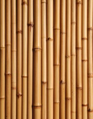 Naklejka premium Close-up of bamboo stalks