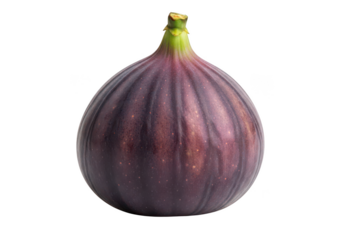 Ripe purple fig with green stem against close up fruit dark