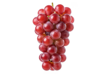 Ripe Red Grapes Bunch Isolated on fruit food