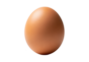 Single light brown chicken egg isolated on with subtle lighting oval shell
