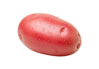 Single plump red potato with brown speckles on tuber vegetable