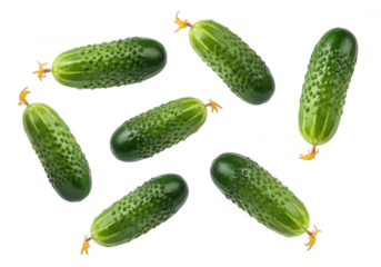Six Fresh Green Cucumbers Falling Against vegetable food