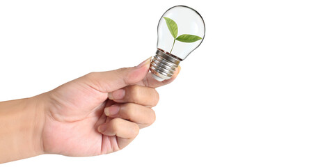 light bulb in hand Business Concepts, Business Approaches and Success in Finance, Banking and Investment