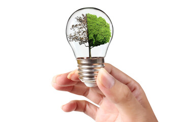 light bulb in hand Business Concepts, Business Approaches and Success in Finance, Banking and...