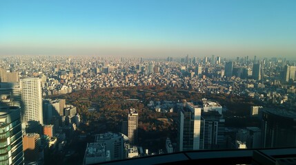 Fototapeta premium High-angle view of Tokyo cityscape with park