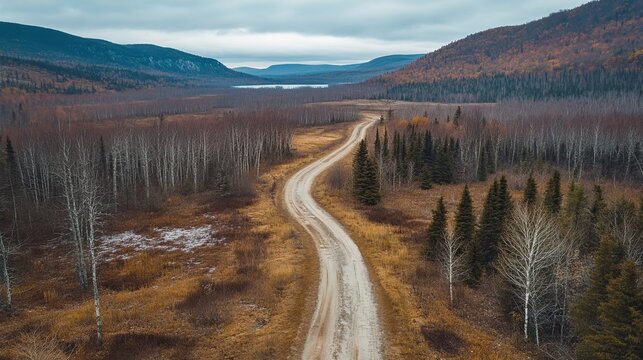 Aerial view of a winding dirt road through autumnal forest landscape