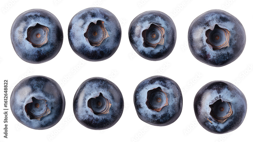 Poster a collection of eight blueberries arranged in two rows of four isolated on a transparent background 