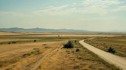 Obraz premium A rural, sun-drenched vista. A dirt road winds through a golden landscape. Distant mountains