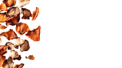 A scattered arrangement of dried apricots isolated on white background