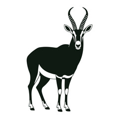 antelope isolated on white