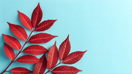Obraz premium Sunlit Red Leaves Against a Clear Autumn Sky 