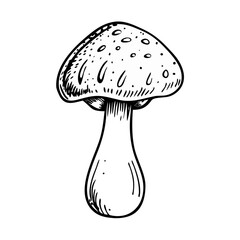 "Ultimate SVG Vector Design Bundle – Abstract, Geometric, Botanical, Mandala, Minimal, Vintage & Modern Elements for Cricut, Laser Cutting, Sublimation, and DIY Crafts"