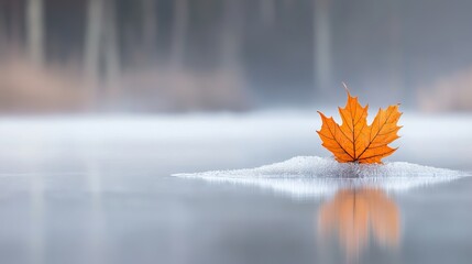 Vibrant Orange Leaf on Frosted Surface Reflecting Calm Nature Scene
