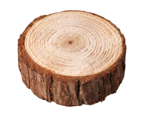 円柱形に切断された木材。切り株