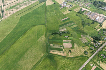 rural landscape with green cultivated fields and farm buildings in village. aerial drone photo.