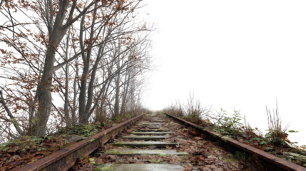 Abandoned Train Tracks in Forest background isolated on a Transparent background, PNG file.