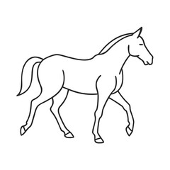 "Ultimate SVG Vector Design Bundle – Abstract, Geometric, Botanical, Mandala, Minimal, Vintage & Modern Elements for Cricut, Laser Cutting, Sublimation, and DIY Crafts"