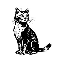 "Ultimate SVG Vector Design Bundle – Abstract, Geometric, Botanical, Mandala, Minimal, Vintage & Modern Elements for Cricut, Laser Cutting, Sublimation, and DIY Crafts"