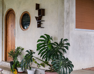 Potted monstera and ornamental plants decorate the entrance of a minimalist home with a wooden...
