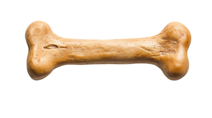 A close up of a dog bone isolated on white background