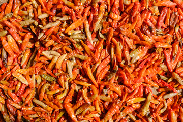 Harvested chilies are sun-dried using traditional methods before being processed into value-added products like chili powder, instant sambal, and chili extract to increase market appeal and income.