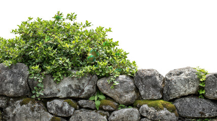 Ancient Stone Wall in Garden background isolated on a Transparent background, PNG file.