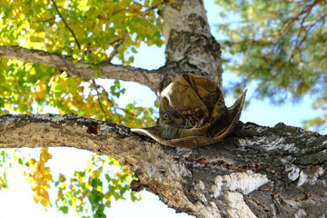 Autumn forest scene, camouflage hat on trunk of tree. Travelling, camping, hunting.