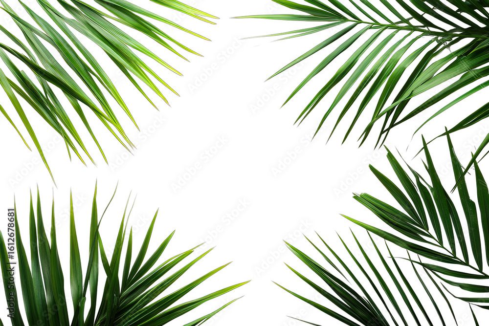 Poster a minimal flat lay composition featuring lush green palm leaves arranged in a square frame against a