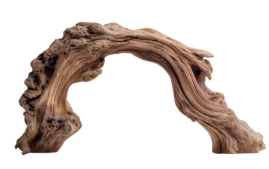 Curved piece of driftwood forming a natural arch isolated on transparent background