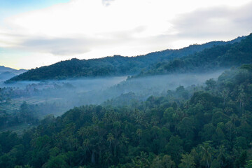 Panoramic View of Forested Mountain Slopes and Misty Valley at Dawn