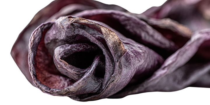 Abstract Purple Cabbage Rose, CloseUp of Textured Vegetable Layers on Black Background Concept of Food Art, Organic Eating, and Healthy Lifestyle