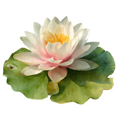 Elegant watercolor waterlily with pinktipped petals isolated on transparent background