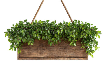 A charming wooden sign with vibrant green foliage hanging by a sturdy rope isolated on transparent background