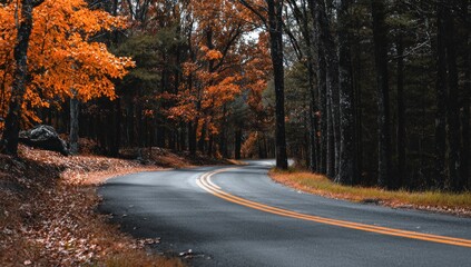 Fototapeta premium Winding road through autumn forest. Asphalt curves amidst vibrant orange foliage & dark trees. Fallen leaves scattered, creating a serene, autumnal scene