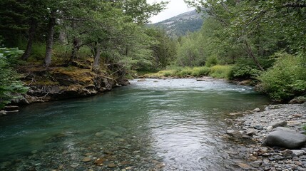 Peaceful river scene with clear water, lush green banks, and gentle flowing current, ideal for relaxing nature retreat, outdoor fishing, and tranquil wilderness experience

