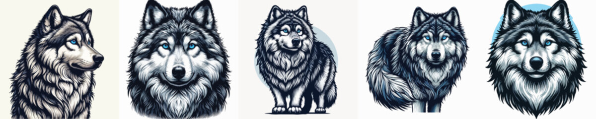 vector image of a wolf with a white background