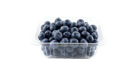 Fresh Blueberries in a Clear Plastic Container