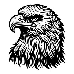 Majestic Eagle Head Side Profile Fierce Bird Black and White Outline Line Art Drawing Engraved
