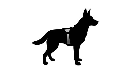 Obraz premium Silhouette of a german shepherd wearing a harness standing on a white background in a side view image