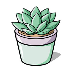 Hand drawn illustration of a green succulent plant in a pot