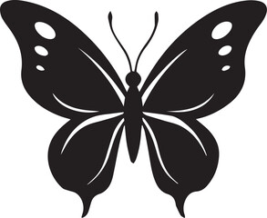  butterfly black vector