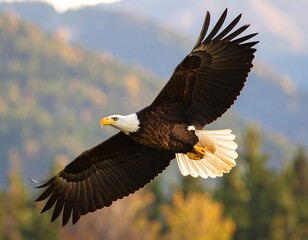Obraz premium Majestic bald eagle in flight, wings outstretched against a blurred mountain and forest backdrop