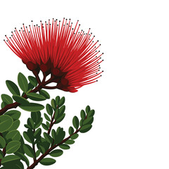 vibrant red Pohutukawa flower, New Zealand's Christmas tree
