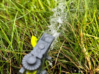 Watering the lawn with a sprinkler on a sunny day	

