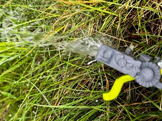 Watering the lawn with a sprinkler on a sunny day	
