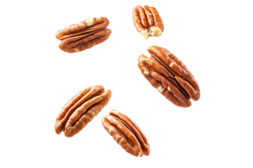  pecan halves isolated on transparent background