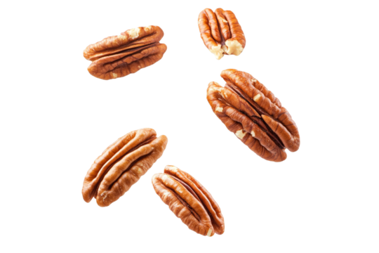  pecan halves isolated on transparent background