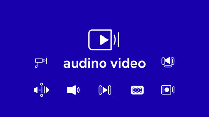 digital video player